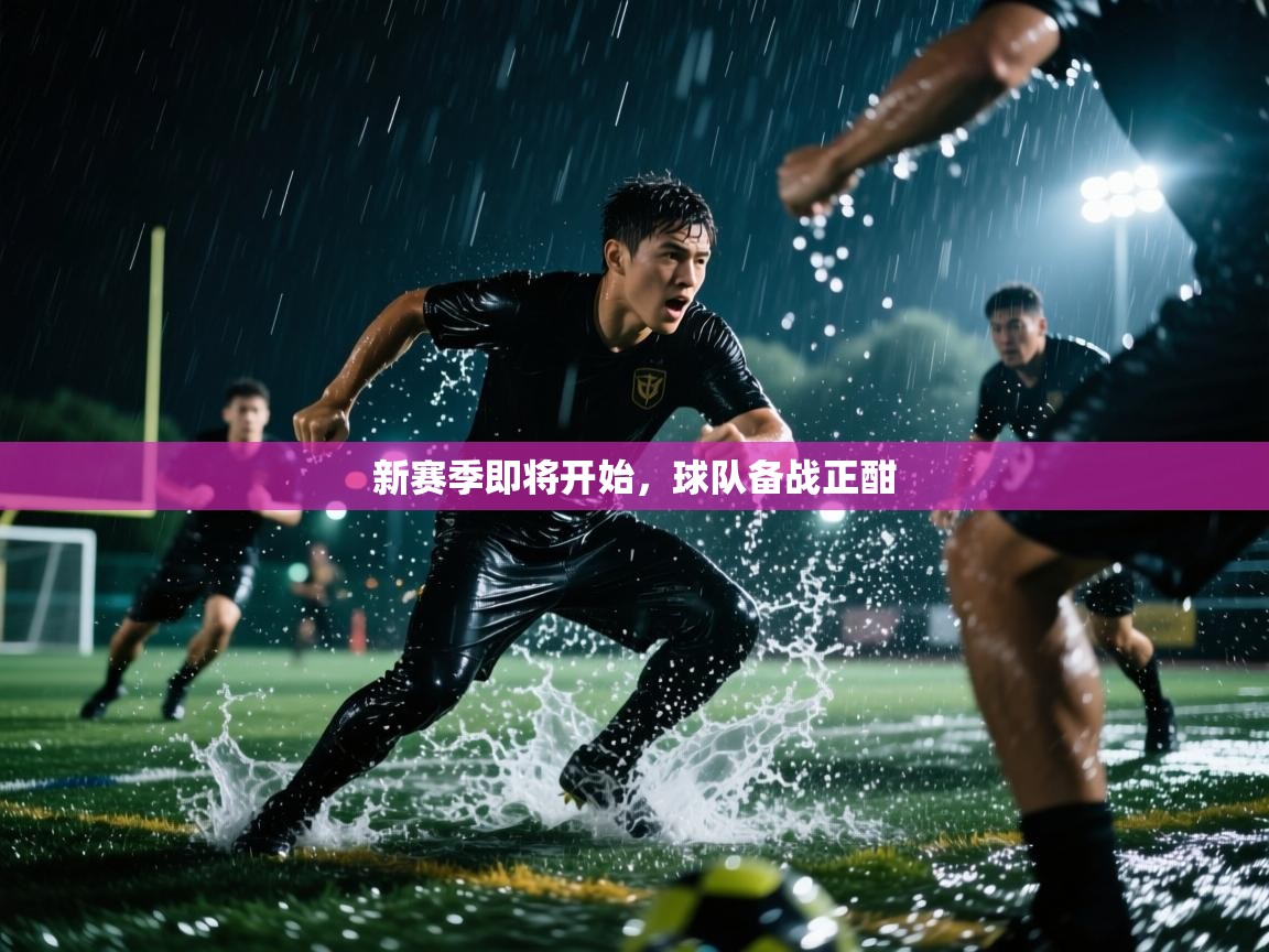 新赛季即将开始，球队备战正酣  第2张