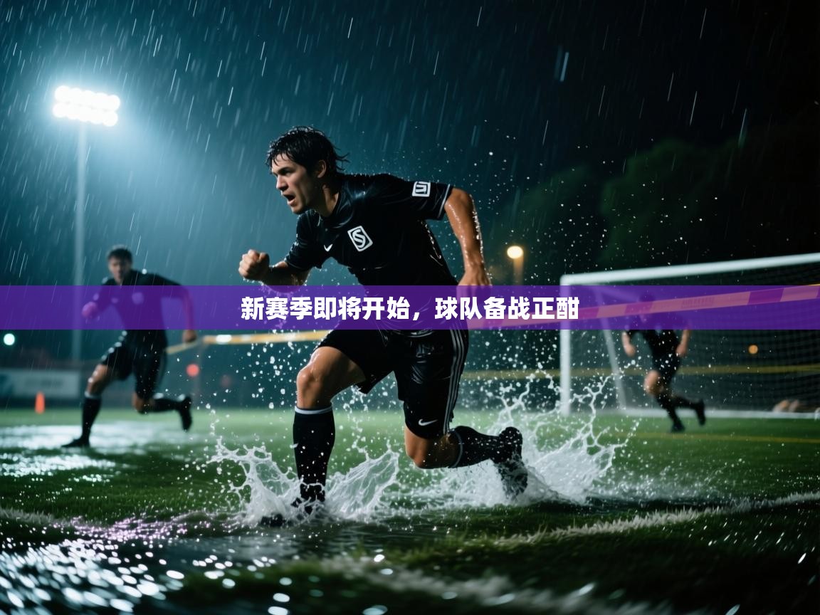 新赛季即将开始，球队备战正酣  第1张