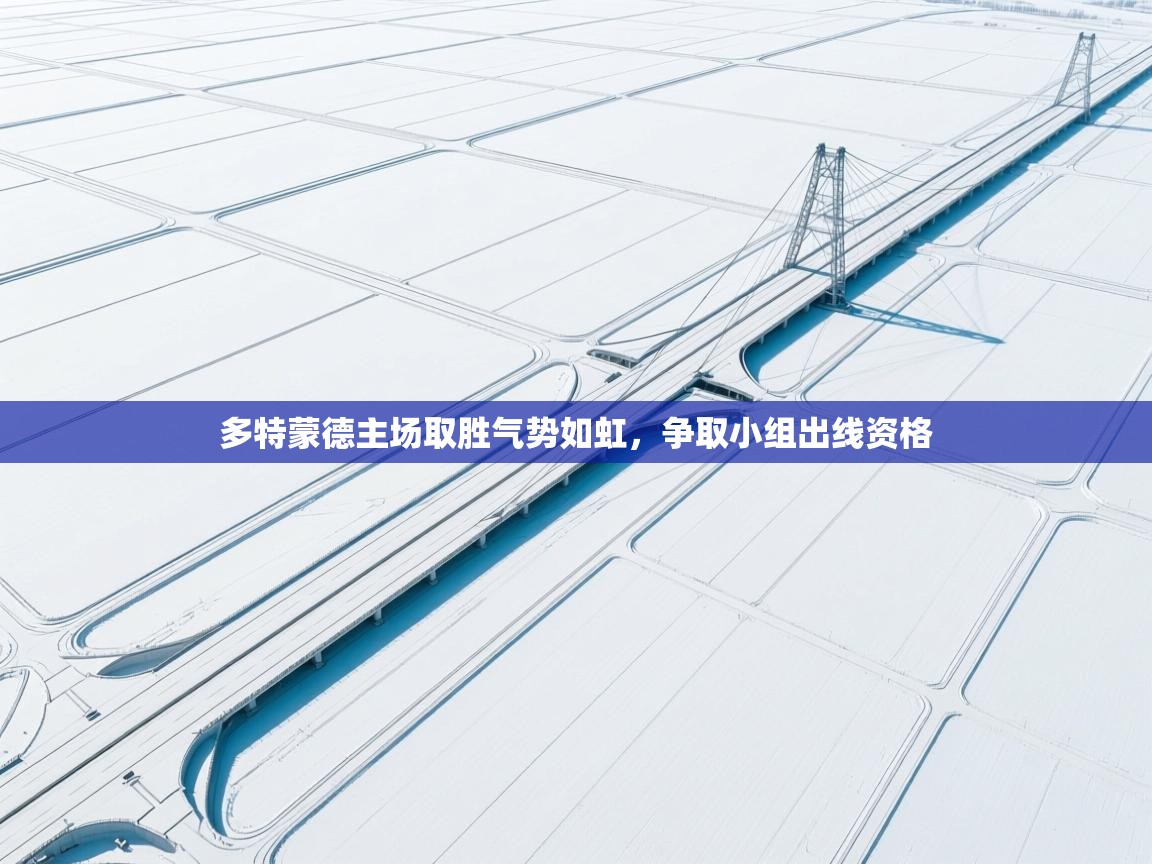 多特蒙德主场取胜气势如虹，争取小组出线资格  第2张