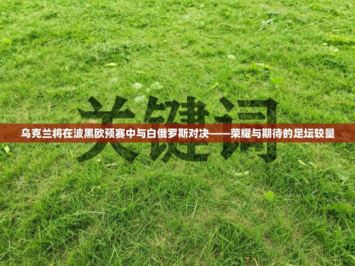 乌克兰将在波黑欧预赛中与白俄罗斯对决——荣耀与期待的足坛较量 第2张