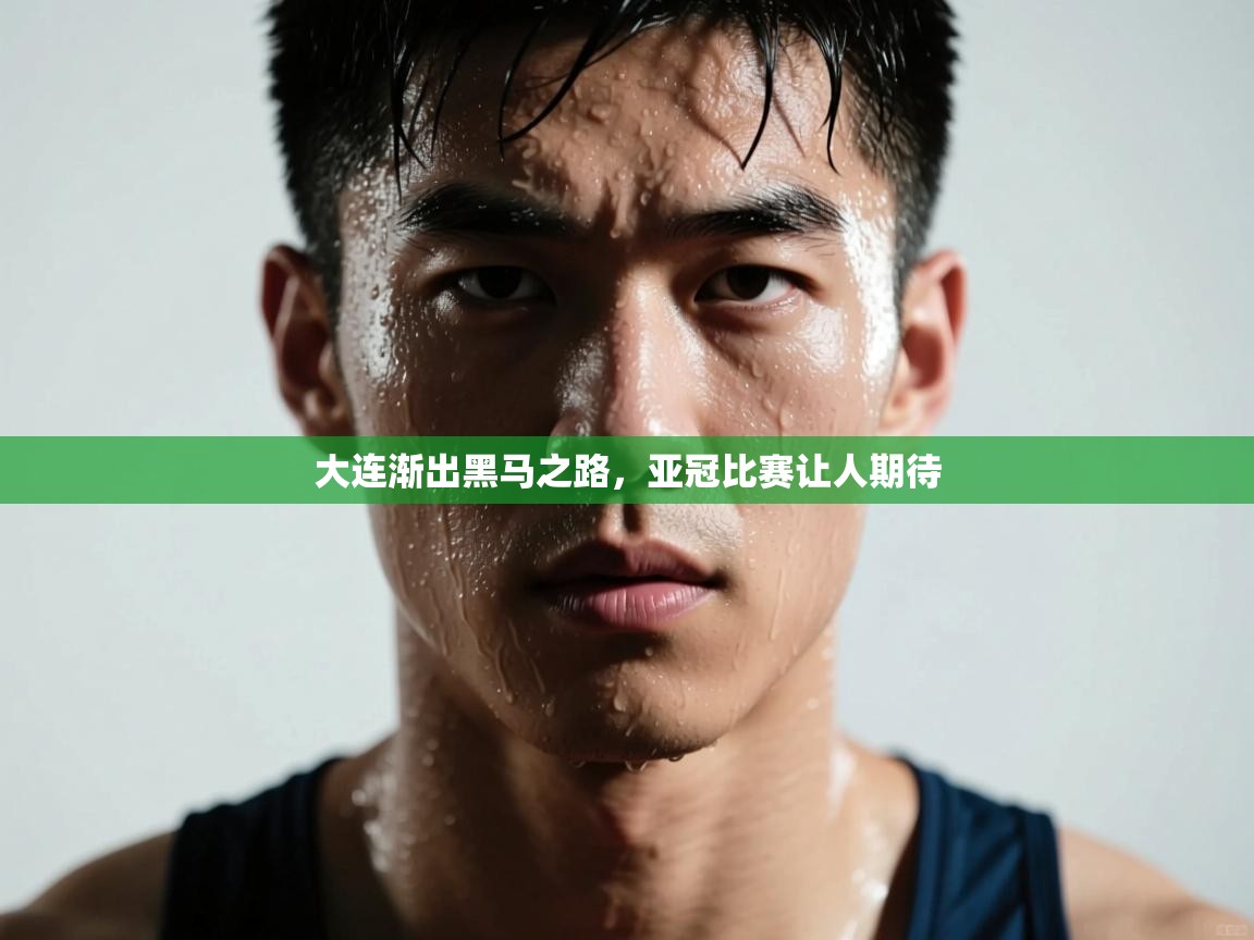 大连渐出黑马之路，亚冠比赛让人期待  第1张