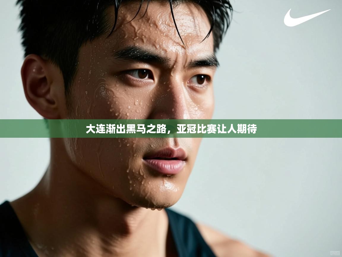 大连渐出黑马之路，亚冠比赛让人期待  第2张