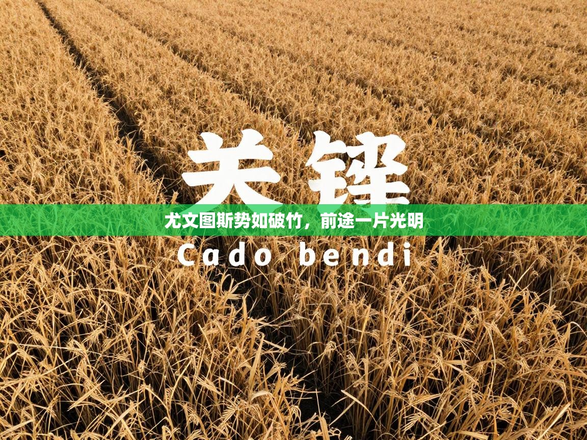 尤文图斯势如破竹，前途一片光明  第2张