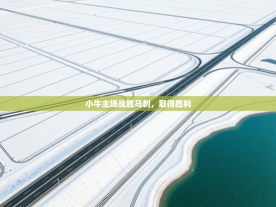 小牛主场战胜马刺,取得胜利 第1张