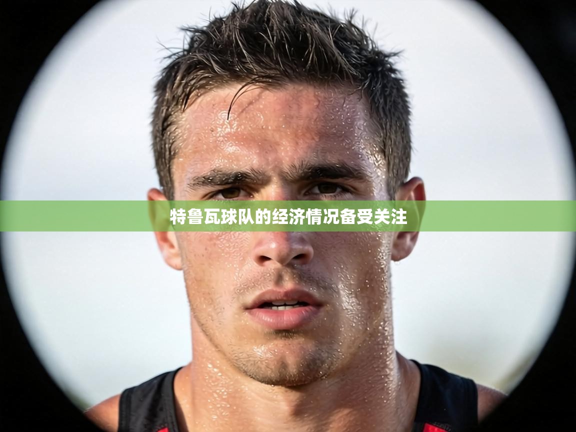 特鲁瓦球队的经济情况备受关注  第2张