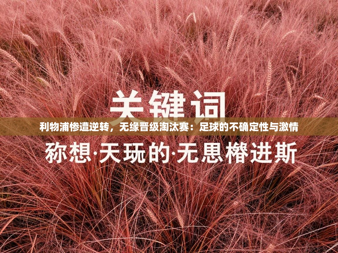 利物浦惨遭逆转，无缘晋级淘汰赛：足球的不确定性与激情  第2张