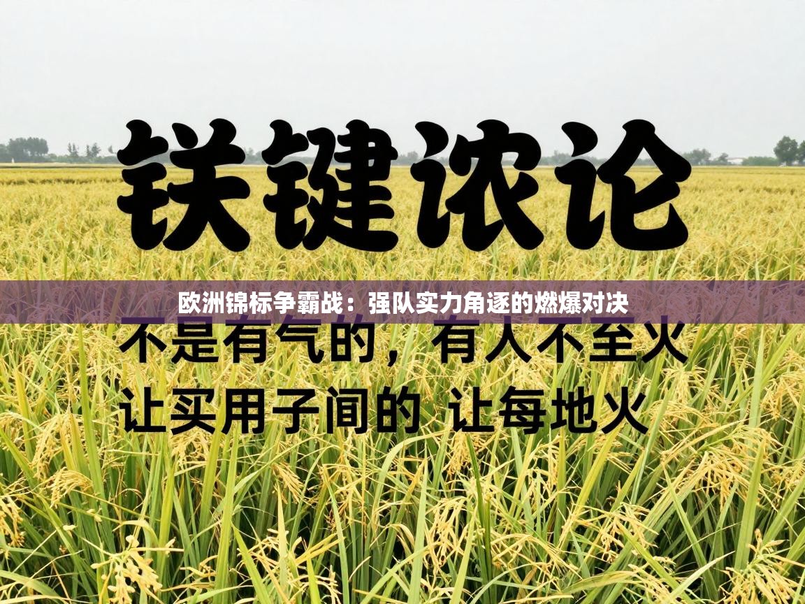 欧洲锦标争霸战:强队实力角逐的燃爆对决 第2张